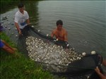 Imagem 014